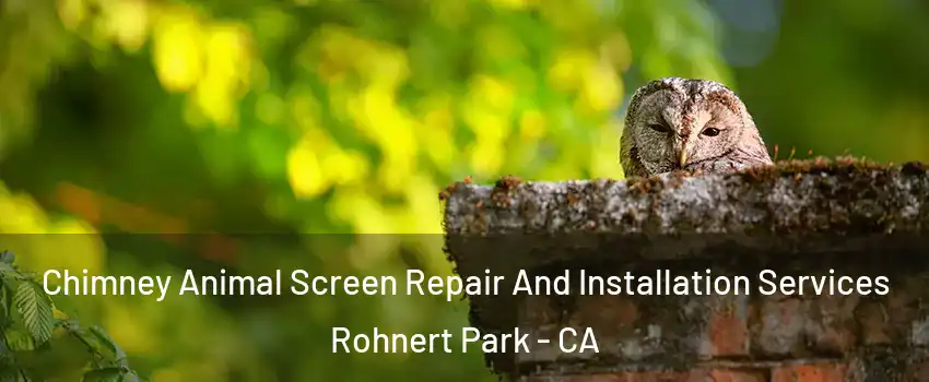  Chimney Animal Screen Repair And Installation Services Rohnert Park - CA