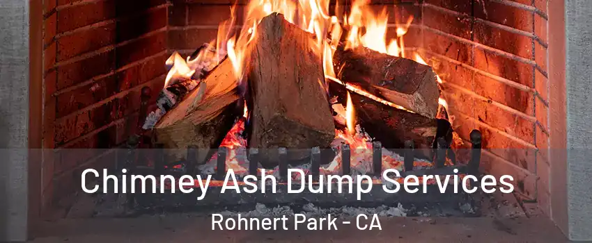  Chimney Ash Dump Services Rohnert Park - CA