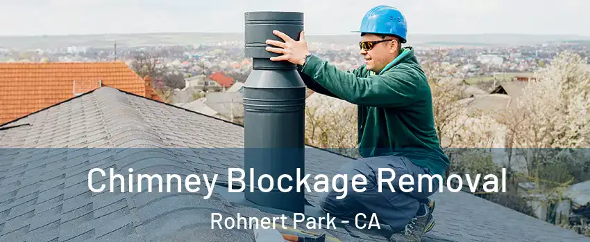  Chimney Blockage Removal Rohnert Park - CA