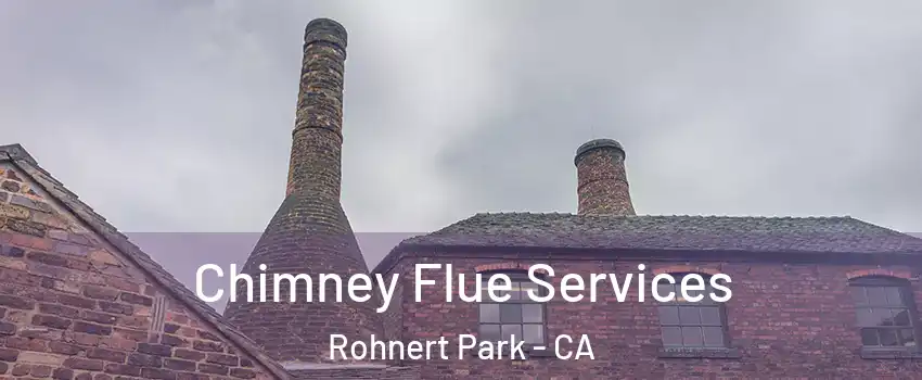  Chimney Flue Services Rohnert Park - CA
