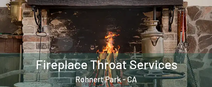  Fireplace Throat Services Rohnert Park - CA