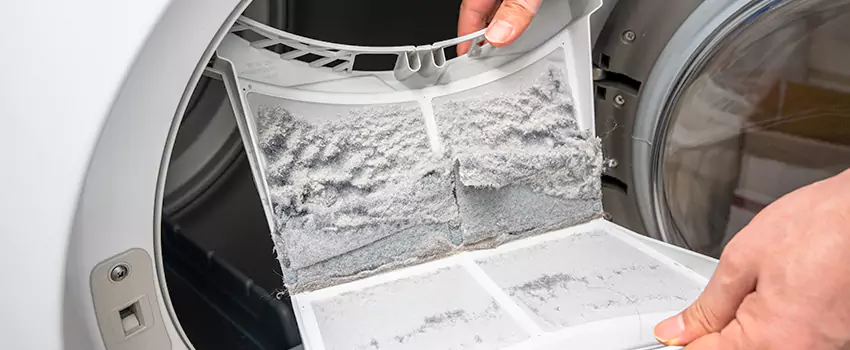 Best Dryer Lint Removal Company in Rohnert Park, California